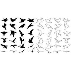 Birds icon vector set. animals illustration sign collection. nature symbol.