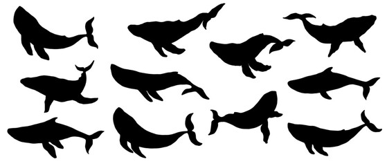 Set of blue whale aquatic mammal silhouettes. Vector graphics.