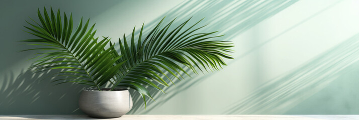 Fototapeta na wymiar Beautiful indoor palm plant in a pot on floor in room.House decoration.The background can be used for mounting, presentation or displaying your products. Copy space for text. Banner.Generative AI