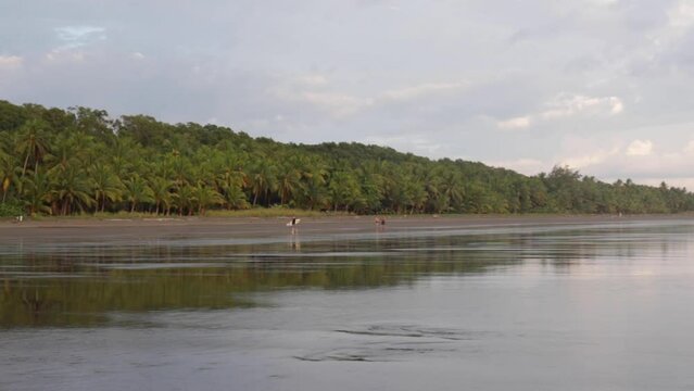 Handheld  panoramic view of a deserted tropical beach full of palm trees and a surfer walking in the distance, Bejuco beach, Costa Rica
