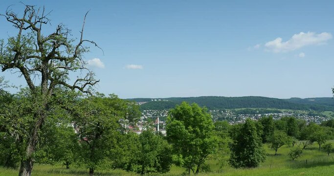 Die Stadt L&ouml;rrach aus Tullinger Berg und Streuobstwiesen. Blick auf die Innenstadt und Charakteristischer Schornstein der KBC in L&ouml;rrach
