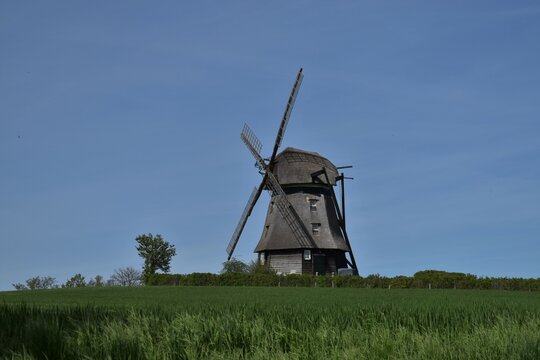 Farver M&uuml;hle - Windm&uuml;hle im Feld in Wangels (Ostholstein)