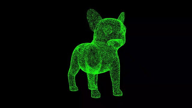 3D dog bulldog rotates on black background. Object made of shimmering particles. Pets care concept. For title, text, presentation. 3d animation 60 FPS