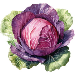 Obraz premium Celebration of the Nutritional Goodness and Rich Tones of Red Cabbage