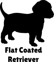  Flat Coated Retriver Dog puppies silhouette. Baby dog silhouette. Puppy