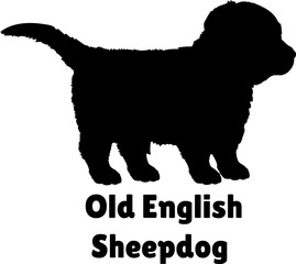 Old English Sheepdog Dog puppies silhouette. Baby dog silhouette. Puppy