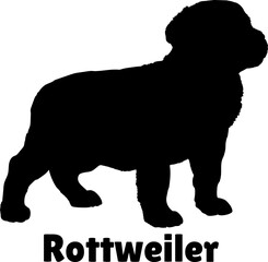 Rottweiler Dog puppies silhouette. Baby dog silhouette. Puppy