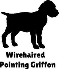  Wirehaired Pointing Griffon Dog puppies silhouette. Baby dog silhouette. Puppy