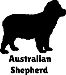 Australian Shepherd Dog puppies silhouette. Baby dog silhouette. Puppy