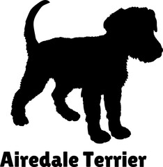 Airedale Terrier Dog puppies silhouette. Baby dog silhouette. Puppy