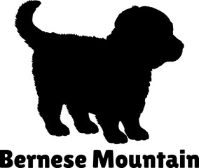 Bernese Mountain  Bernese Mountain Dog puppies silhouette. Baby dog silhouette. Puppy