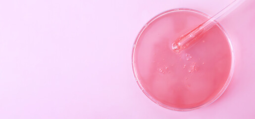 glass pipette serum gel closeup in petri dish