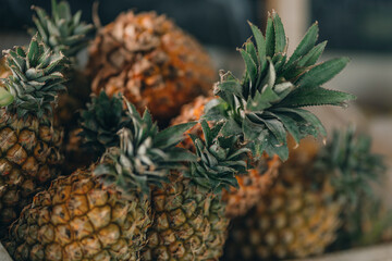 Close up shot of pineapple fruit. Tropical natural fresh fruits, exotic ripe whole pineapples
