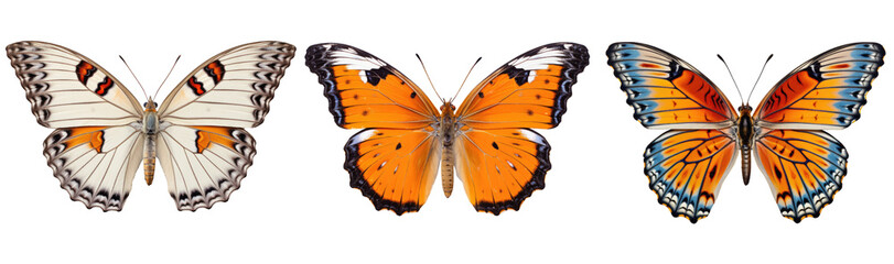 Three beautiful butterflies photographed from above, colorful, isolated (Generative AI)