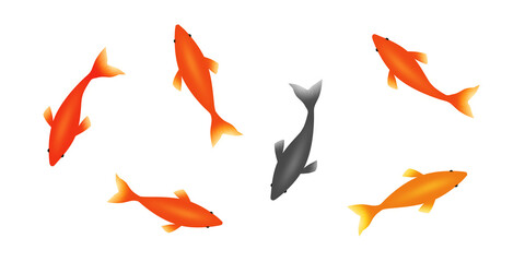 金魚　イラスト素材