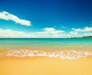 beach with trees