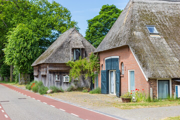 Fototapeta na wymiar Historic farm house with thatched roof in Zweeloo, Netherlands