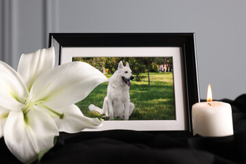 Frame with picture of dog, burning candle and lily flower on black cloth, closeup. Pet funeral