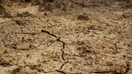 Terre sèche