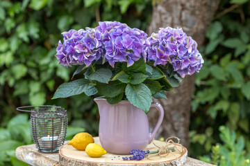 florales Arrangement mit lila Hortensie im Krug
