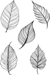 minimalist leaf illustrations, easy print, editable eps file, abstract leaf drawings,set
