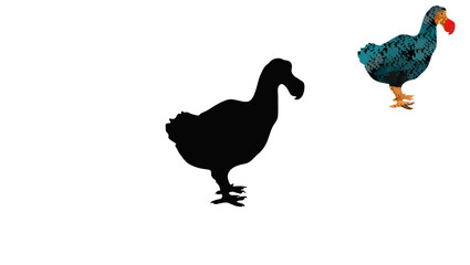 Dodo silhouette, Hand drawn vector illustration