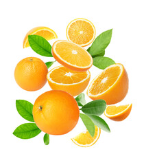 Cut and whole oranges with green leaves flying on white background