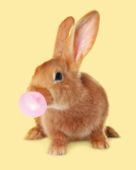 Cute bunny with bubble of chewing gum on pale yellow background