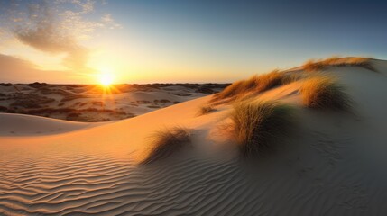 beautiful desert sunset scenery