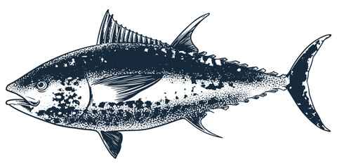 Seafood animal tuna fish engraving drawing vector. Hand sketch vintage style. Food animal ocean sea isolated on white background.
