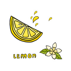 Trendy single element of cute cartoon lemon slice with lemon flower in doodle style. Element for print, postcard, menu, poster, textile or advertising. Vector illustration EPS10. Isolated on white
