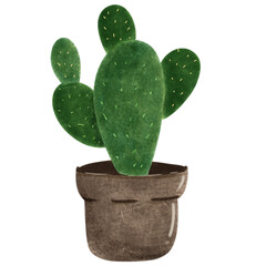 cactus in a pot