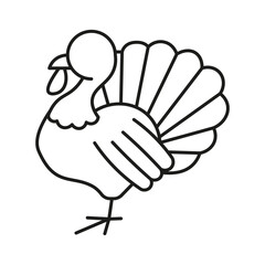 Turkey bird line and glyph icon.
