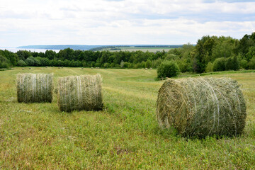 hay stacks on the agricultural field with forest and cloudy sky on horizon, copy space