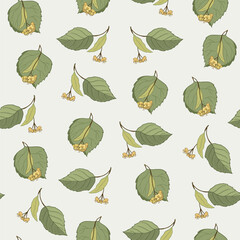 Linden flower summer floral seamless vector pattern.