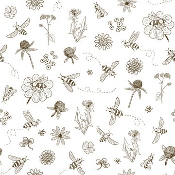 Bees, flowers and herbs vector seamless pattern.