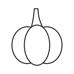 Pumpkin vector outline icon. Healthy vegetable.