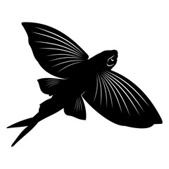 illustration of a flying fish