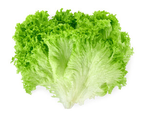 Fresh green lettuce leaves isolated on white, top view