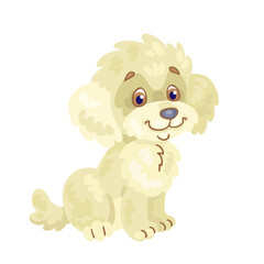 Cute white poodle puppy. In cartoon style. Isolated on white background. Vector flat illustration.