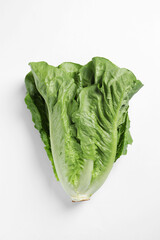 Fresh green romaine lettuce on white background, top view