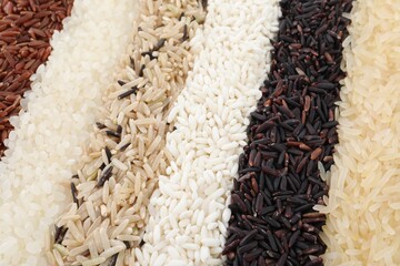Different sorts of rice as background, closeup