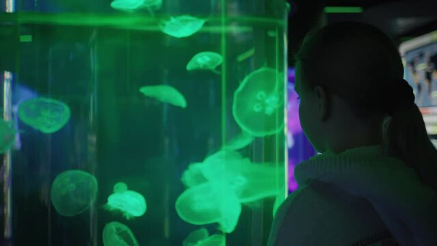 A child looks at jellyfish in an aquarium