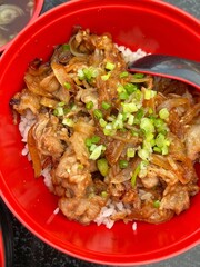 rice with pork