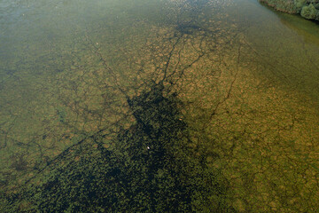Water river delta green vegetation texture from above. Aerial landscape photo with beautiful nature...