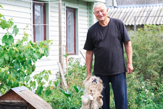 Relaxation elderly man stay in the sun at the edge of his garden with his beautiful white outbred dog enjoying the summer like august afternoon.