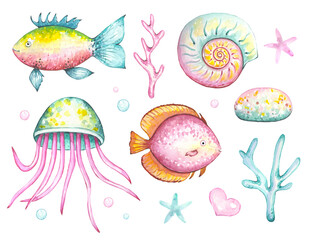 Sea set with a fish , algae, jellyfish, shells,  watercolor