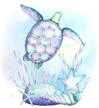 Underwater world, composition with turtle, corals, shells, stones, watercolor illustration