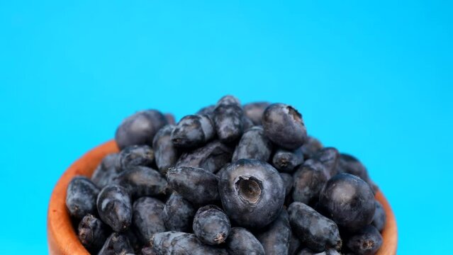 berry Honeysuckle and blueberries, rotation in circle. Kamchatka berry on a blue background, Turning. selective focus. seasonal berries, vegan food