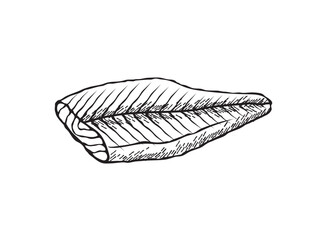 Vector illustration of a salmon fillet in black and white sketch style
